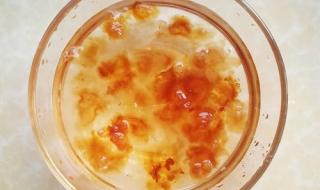 牛奶椰汁炖桃胶雪燕怎么做 牛奶桃胶的做法